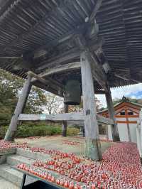 It’a red world 🇯🇵🇯🇵 Katsuoji Temple !!