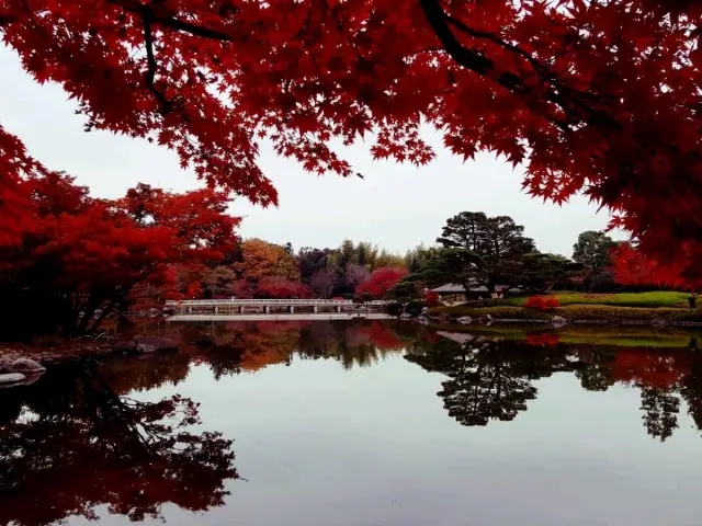 Stunningly beautiful Showa Kinen Park
