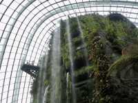 คลาวด์ฟอเรสต์โดม Cloud Forest Dome 🇸🇬