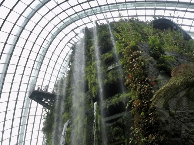 คลาวด์ฟอเรสต์โดม Cloud Forest Dome 🇸🇬