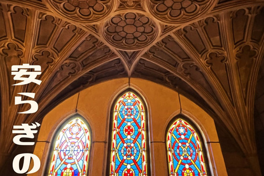 1mi3x224x8toyou9k46F0_R_600_40