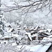 겨울왕국 시라카와고❄️