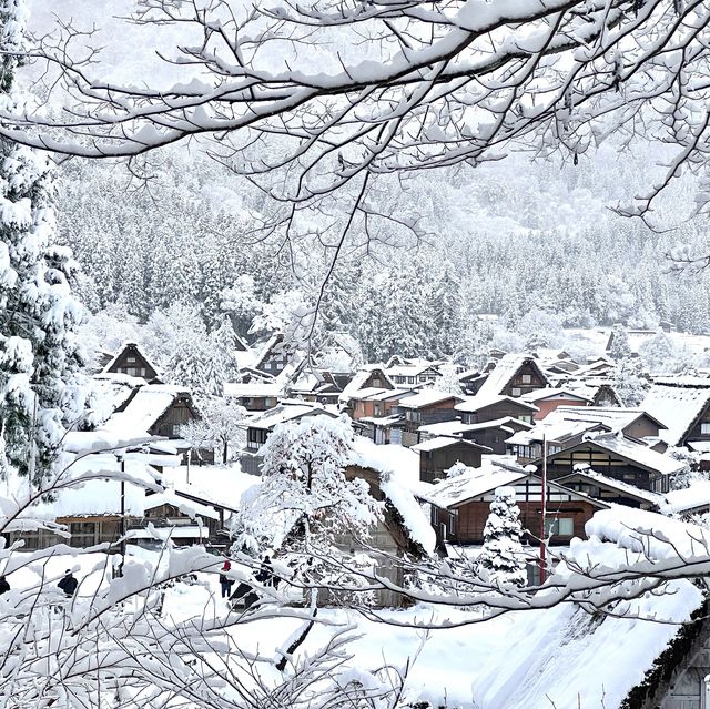 겨울왕국 시라카와고❄️