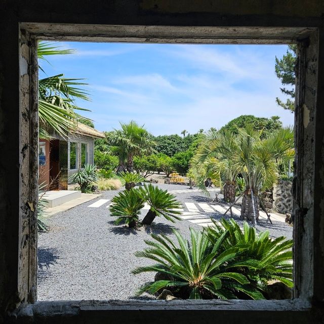 韓国カフェ(済州島) 韓国カフェ(済州島)