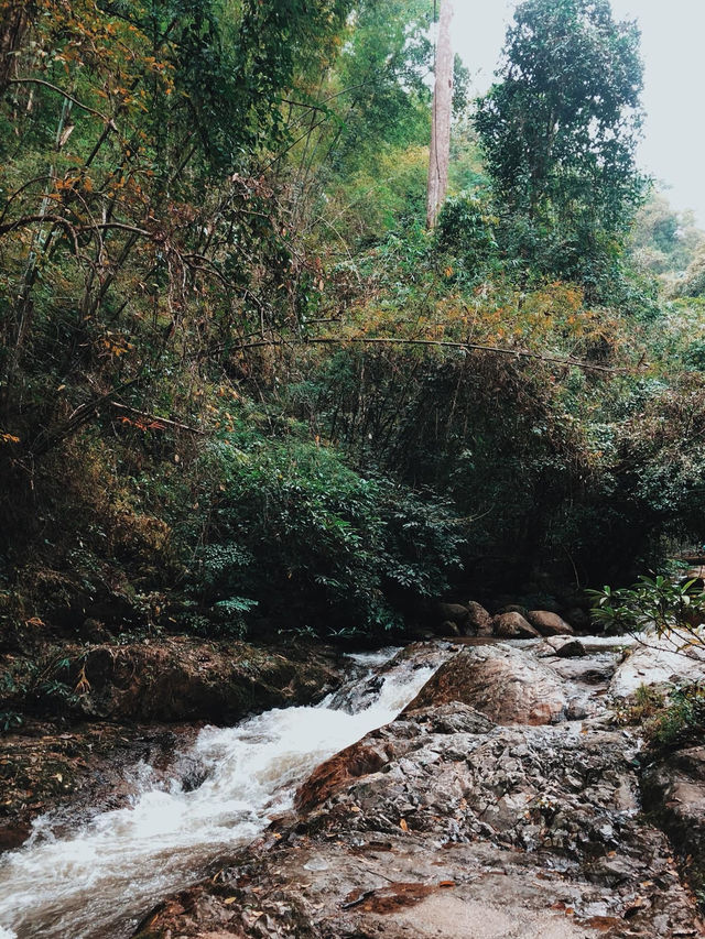 น้ำตกแจ้ซ้อน 💦⛰️🌳