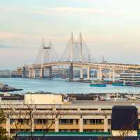 Yokohama View from the park