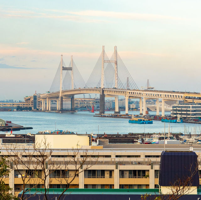Yokohama View from the park
