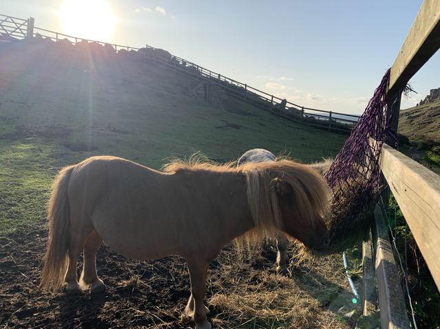 🇬🇧走到英國既天涯海角 必去盡頭Land’s End🩵