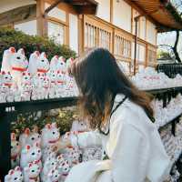 🇯🇵東京最新打卡點：豪德寺⛩️ 打卡招財貓大爆發🐱🤑