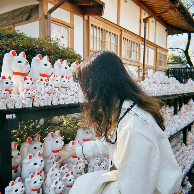 🇯🇵東京最新打卡點：豪德寺⛩️ 打卡招財貓大爆發🐱🤑