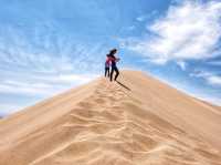 Day trip to Singing Dune and Camel’s Milk?!