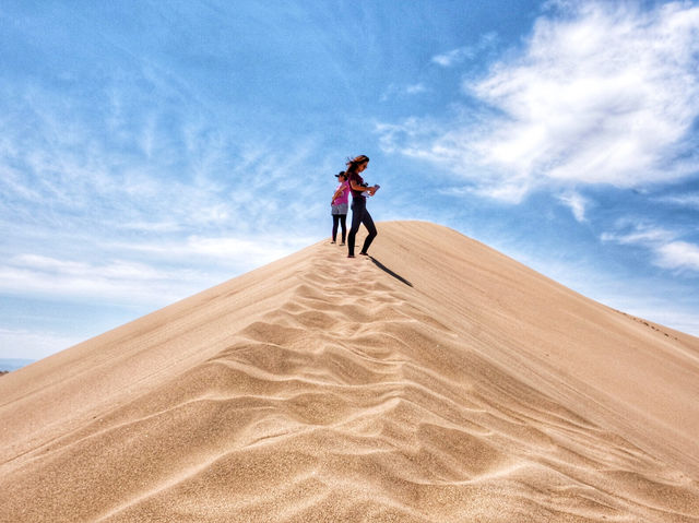 Day trip to Singing Dune and Camel’s Milk?!