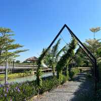 บ้านตา Cafe อยุธยา