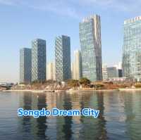 Songdo Dream City 🦄🦋