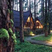 สวนสนบ่อแก้ว .เชียงใหม่   
