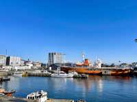 Nagoya Port Sea Train Land