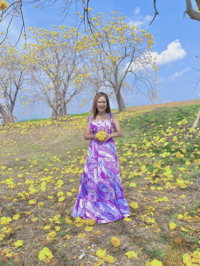 ถ่ายรูปกับดอกสุพรรณิการ์ @สิงห์ปาร์ค เชียงราย
