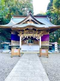 【泉神社/茨城県】エメラルドグリーンの泉と泉龍木