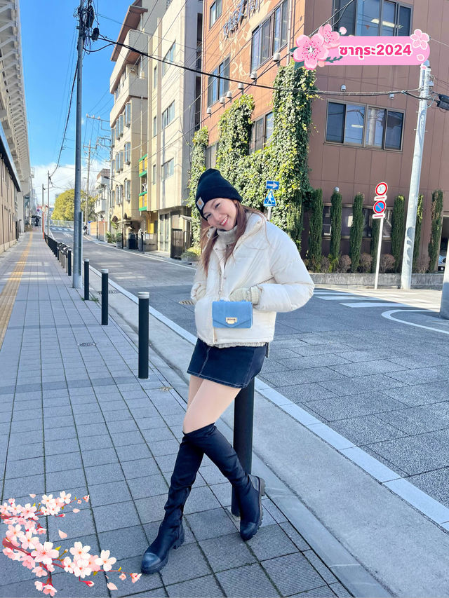 เดินเล่นกินลม ชมซากุระกันค่ะ 🌸🌸🌸