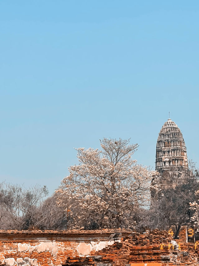 Old city- Ayutthaya 