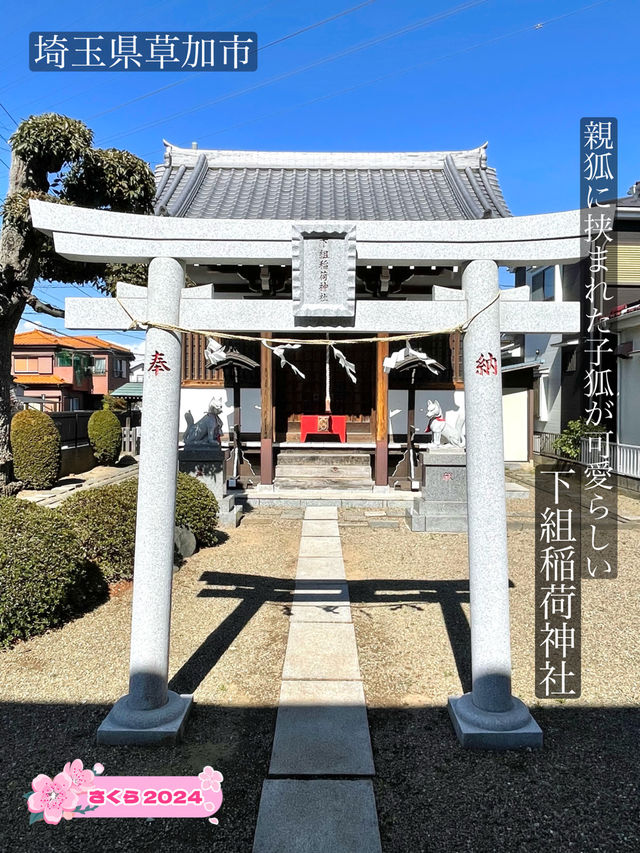 【下組稲荷神社/埼玉県】親狐に挟まれた子狐が可愛らしい