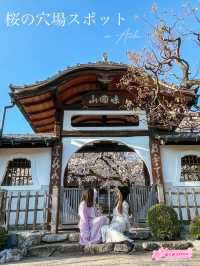 【愛知】名古屋市内でひと足早く桜しだれ桜が咲くお寺