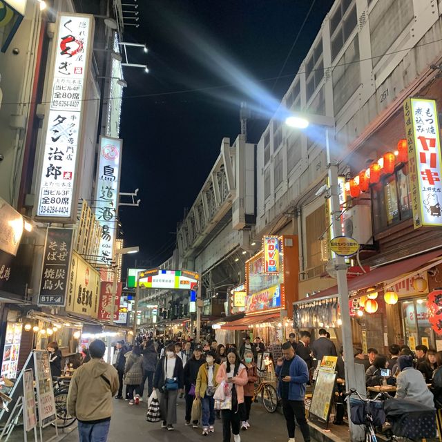 도쿄도심에 피크닉하기! 우에노공원/미술관/동물원/아메요코쵸