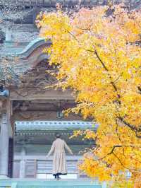 【福井】福井の名刹、永平寺