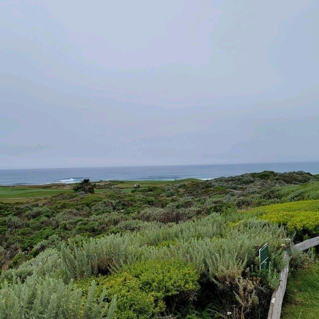 Spanish bay and 17-mile drive at Pebble beach