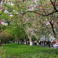 West Lake (Xihu) หางโจว ประเทศจีน