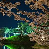 高田城址公園
