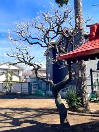 【上鈴木稲荷神社/東京都】赤い屋根が目立つお稲荷様