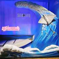 Sea Life Busan Aquarium in Korea 