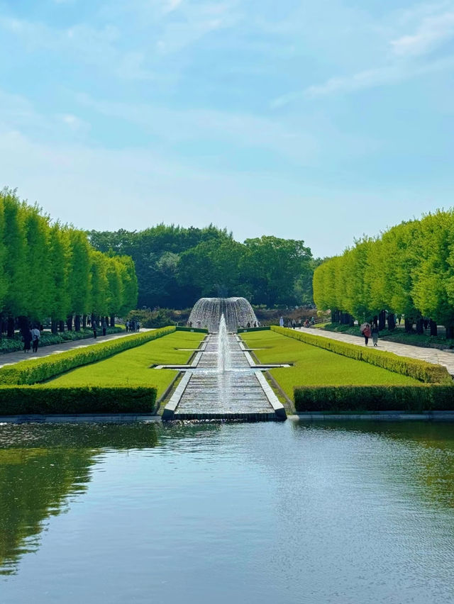 【立川】GWにおすすめ🥳🦋🫧都心から30分で行けるネモフィラ💙🩵【昭和記念公園】