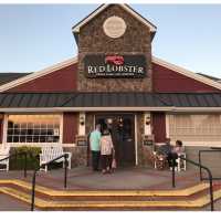 San Jose - Red Lobster