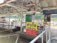 วัดฟ้าฮ่าม …เด่นดัง เชียงใหม่