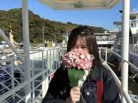 ［福岡忘憂聖地］能古島🏝️（1）：四季也有不同的花海，令人心曠神怡‼️