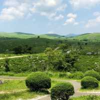 熊野古道～歷史古韶
