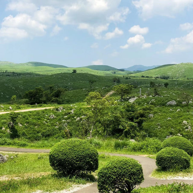 熊野古道～歷史古韶