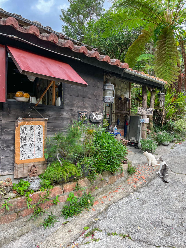 【沖縄】本部町 縁側席がおすすめ！やんばるで過ごす情緒ある森カフェ