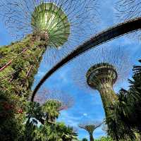 Garden by the Bay