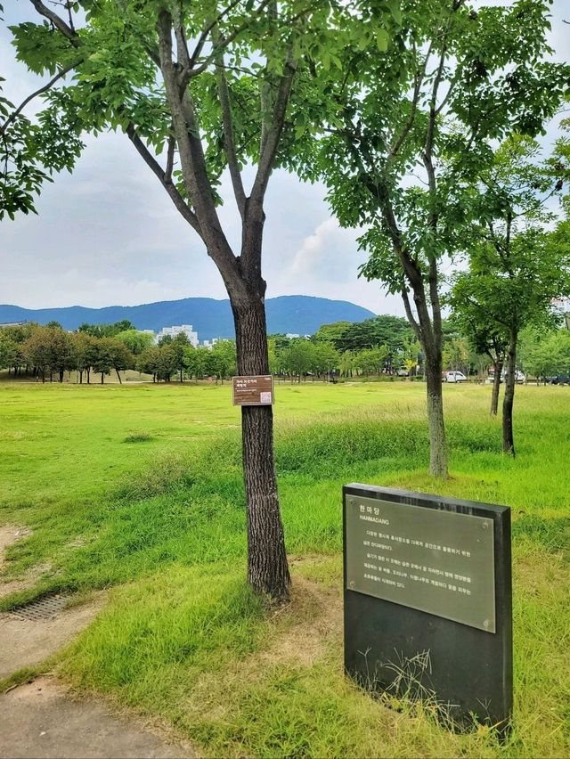초록뷰 즐기며 거닐기좋은 김해여행지💚