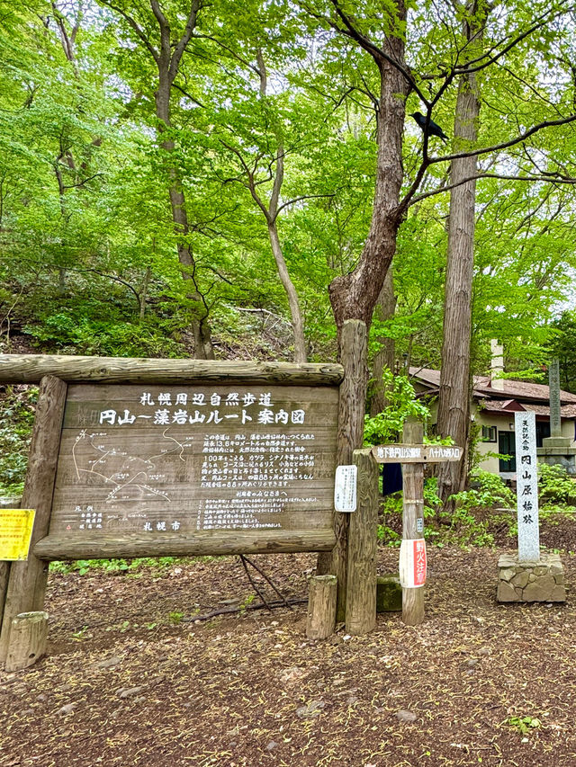 札幌　札幌観光　初春の円山八十八ケ所＆坂下野球場の散策！