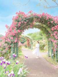 【千葉】関東でのバラ園はやっぱりここがいい