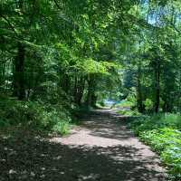 Loggerheads Country Park