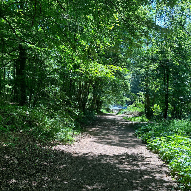 Loggerheads Country Park