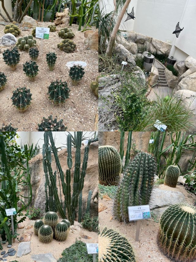🌸🌼✨ 春天好去處：繁花似錦霍士傑溫室 ✨🌼🌸