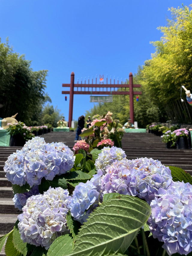🎋 인생 첫 담양 여행 죽녹원 다녀왔어요!💚