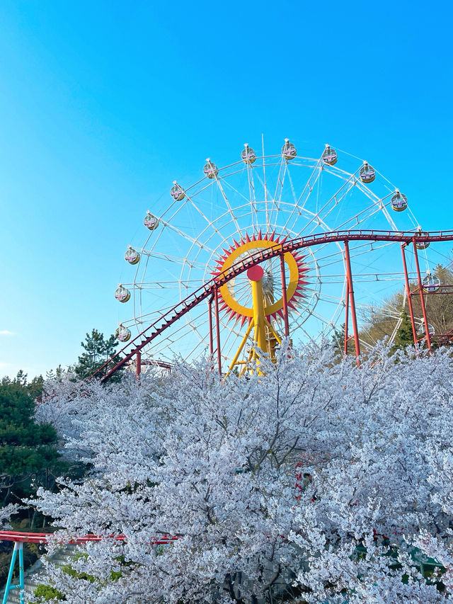 🎡16,000원 내고 하늘자전거만 타고 온 썰,,, 이거 맞아?,,,