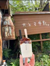 【群馬】美味しすぎてリピ🤍大人気大とろ牛乳
